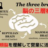 脳の三層構造、爬虫類脳を理解して営業に活かす